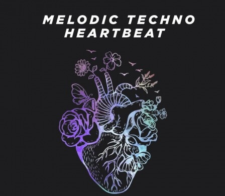 House Of Loop Melodic Techno Heartbeat MULTiFORMAT